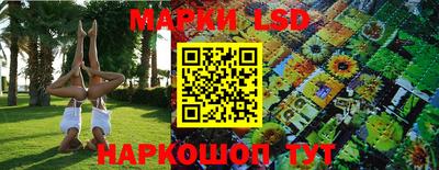 крисы Кимры