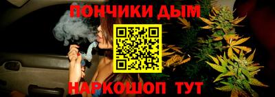 крисы Кимры