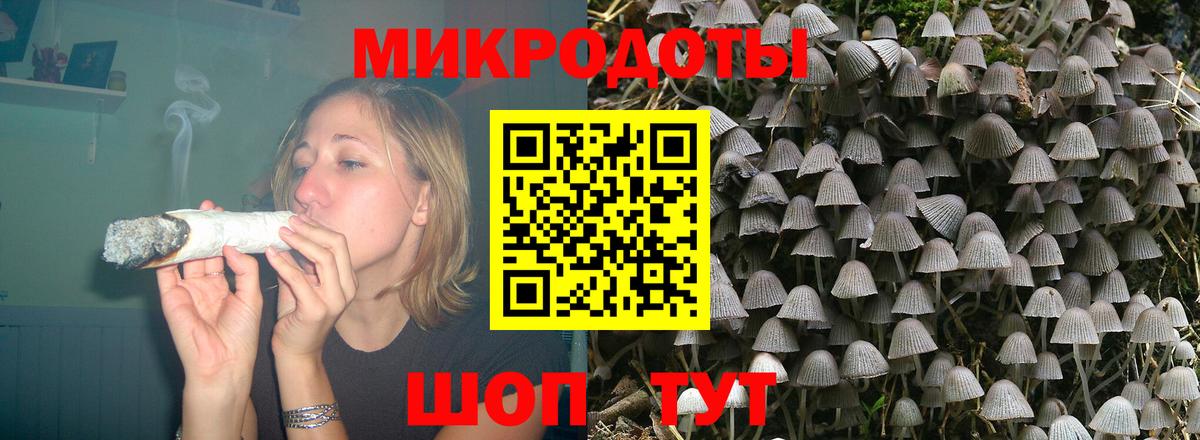 Галлюциногенные грибы Magic Shrooms Кудрово