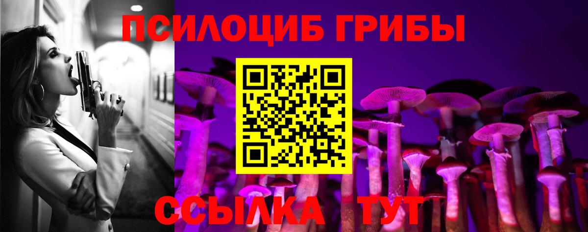 Псилоцибиновые грибы Psilocybine cubensis Кудрово